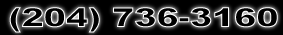 (204) 736-3828